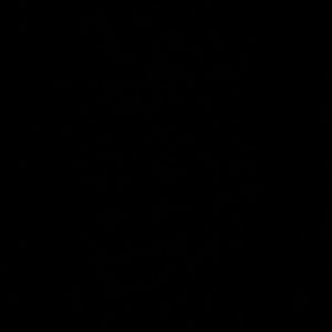 Meet your Posher, Patricio